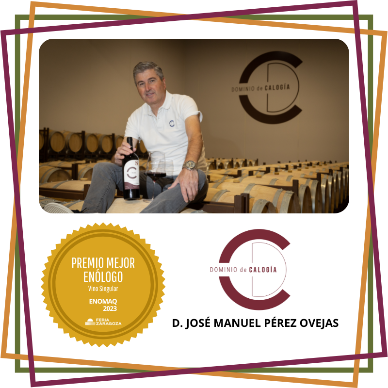 D. JOSÉ MANUEL PÉREZ OVEJAS