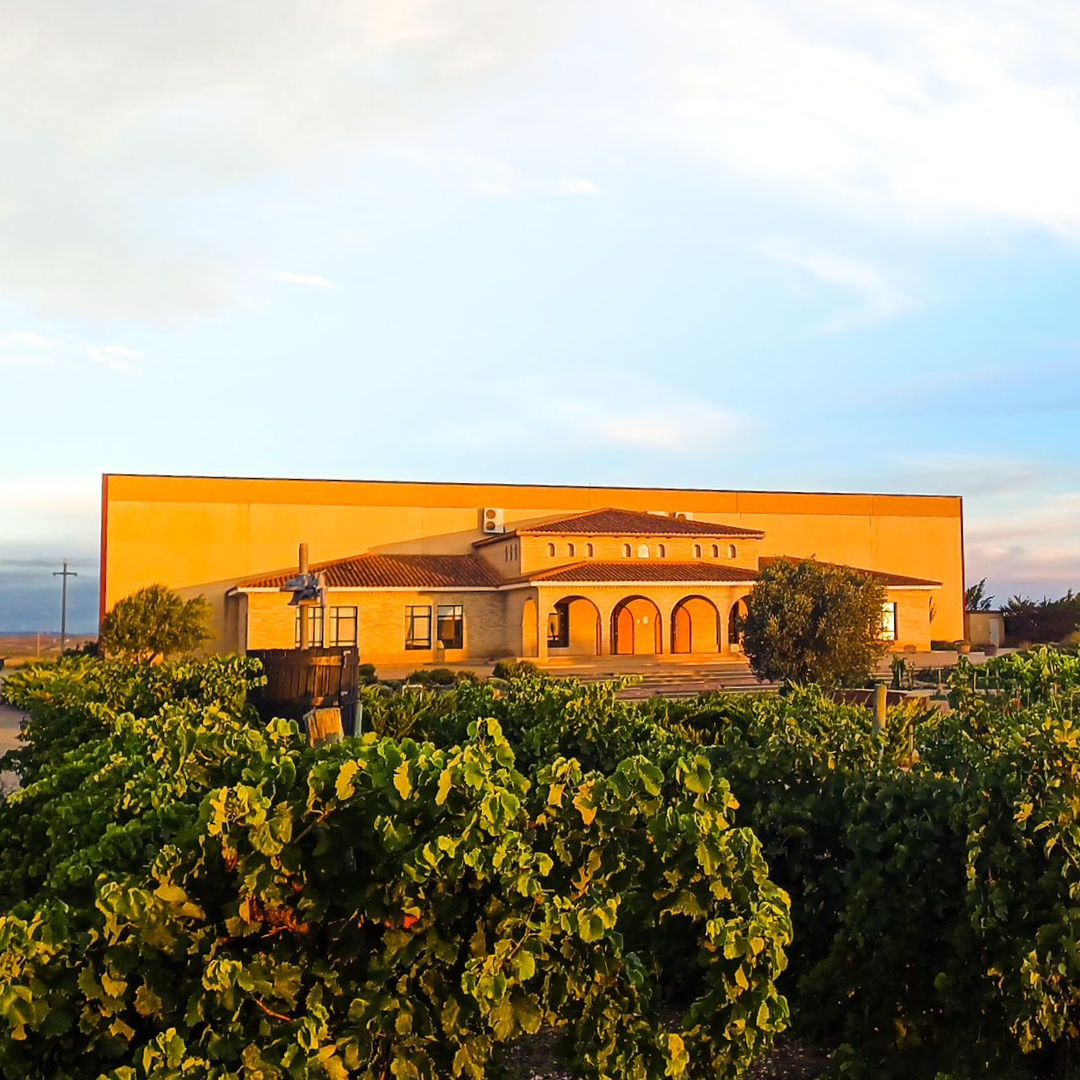 Paula Yago Aznar - CEO de Bodegas Tempore