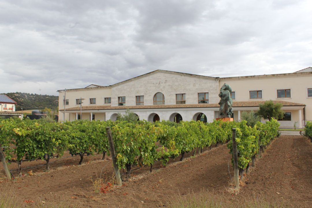 BODEGA EMINA