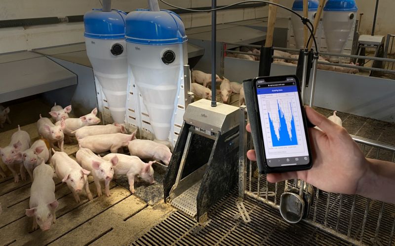 AUTOPIG, YOUR DIGITAL ASSISTANT