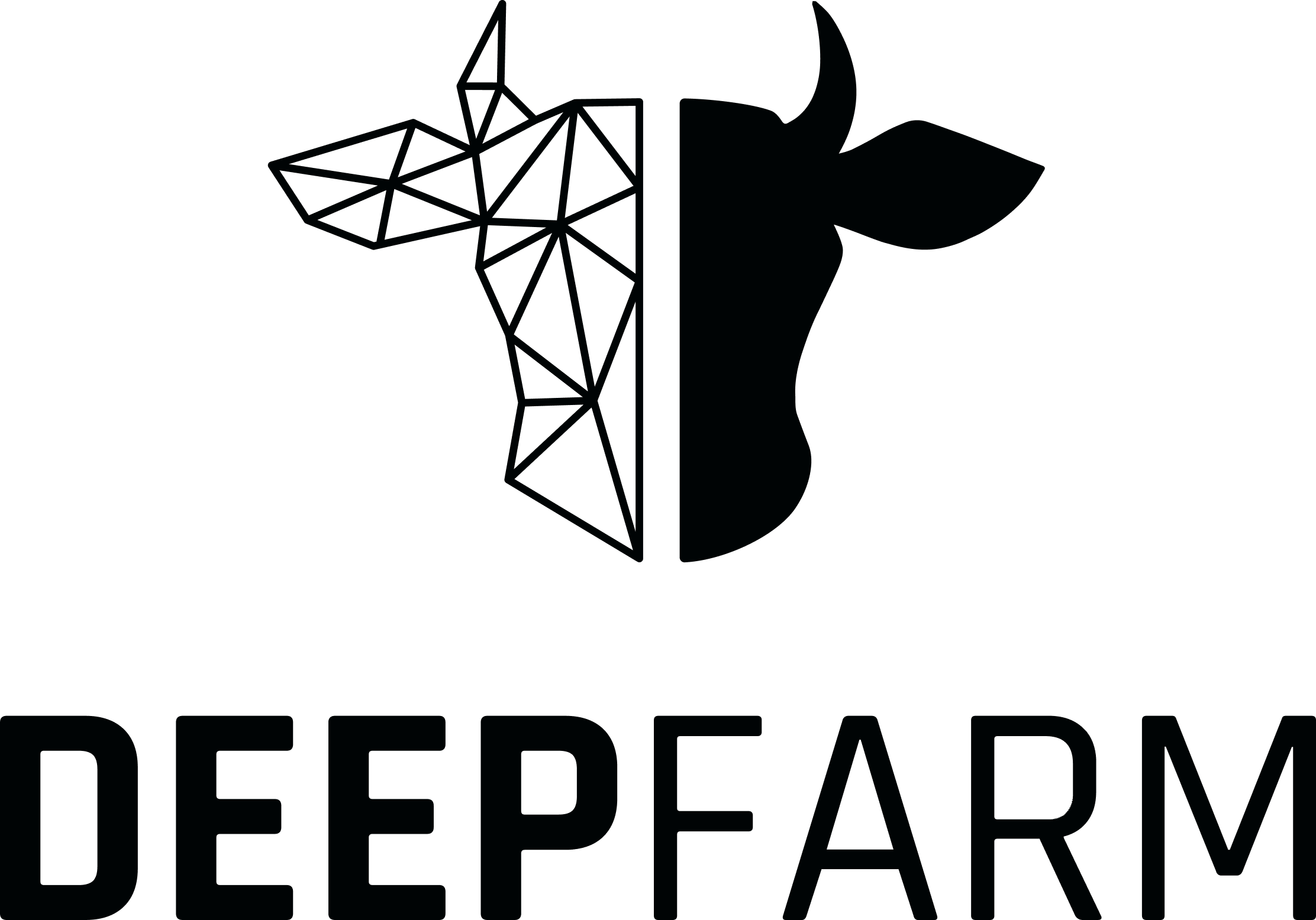 DEEPFARM TECHNOLOGIES S.L.