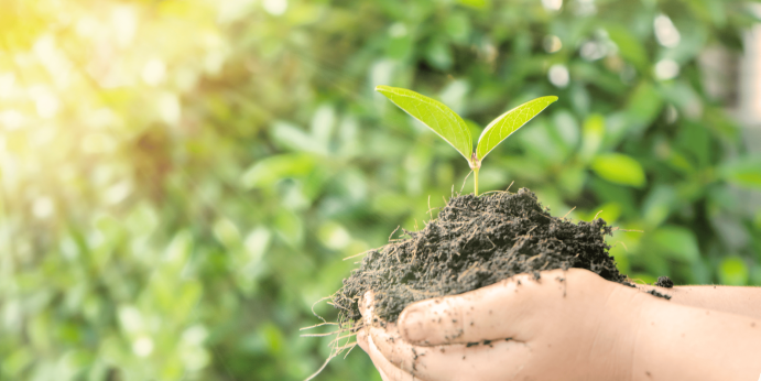 Technical Conferences FIMA Tech